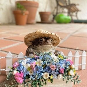 Meet your Posher, Hanna